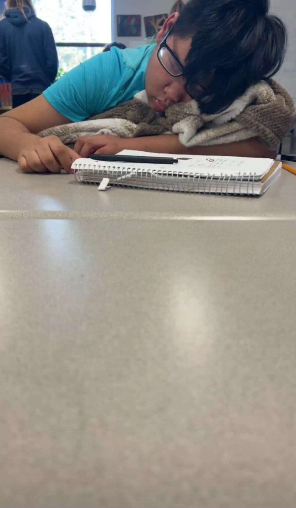 Max sleeping on his notebook